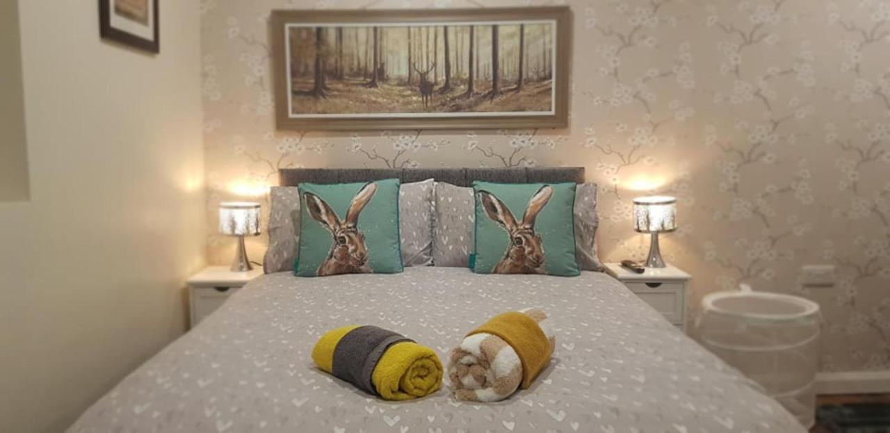 The Musical Ceol Cottage 1-Bedroom - Sleeps Four Ballynahinch Kültér fotó