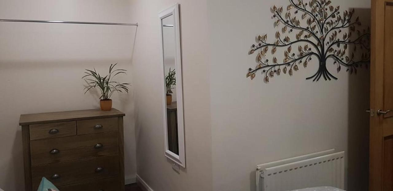 The Musical Ceol Cottage 1-Bedroom - Sleeps Four Ballynahinch Kültér fotó